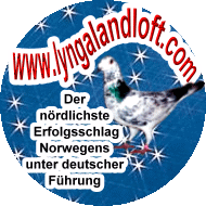 lyngalandloft.com